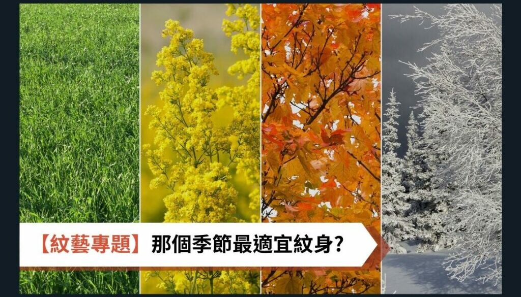 國家 (2)