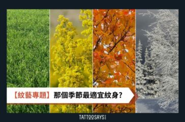 國家 (2)